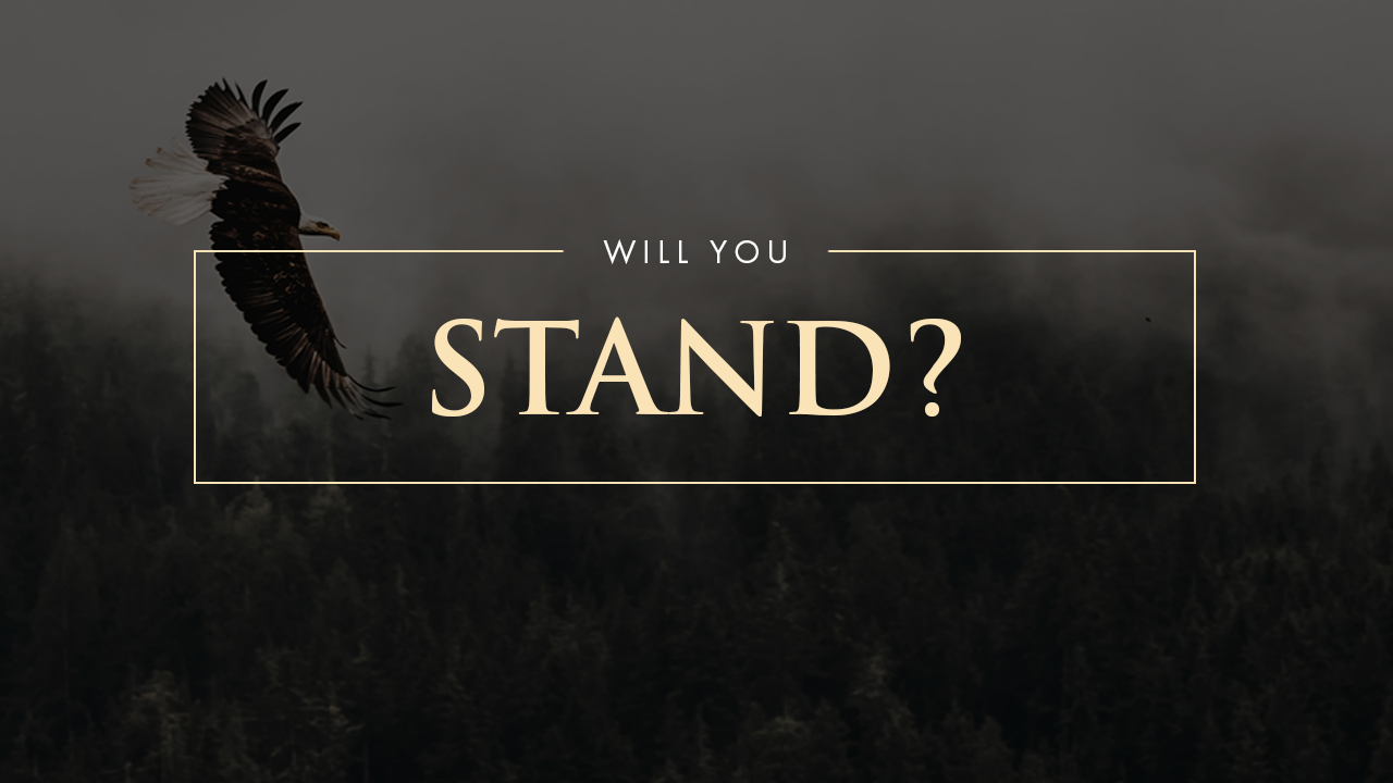 Will You Stand?