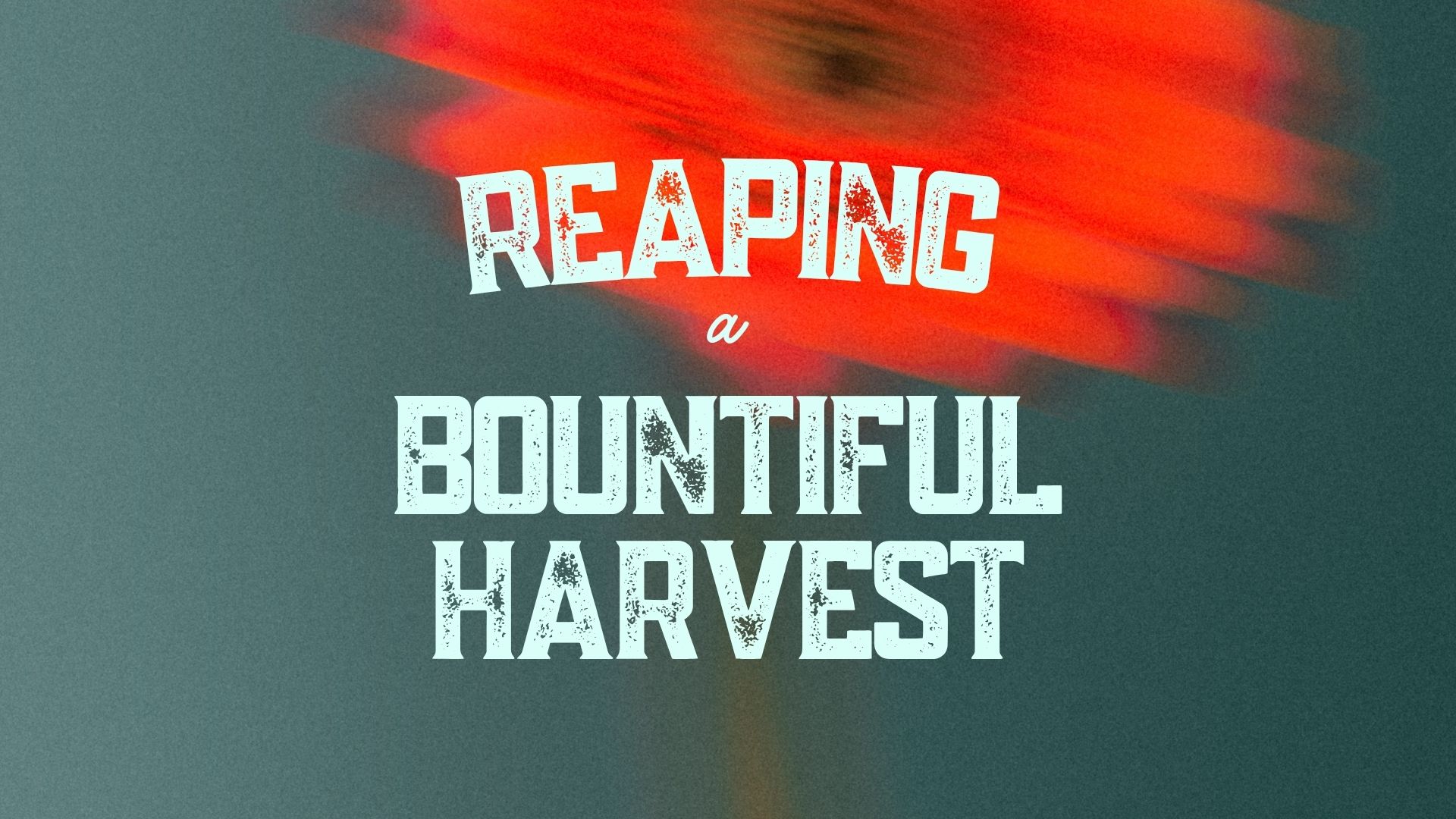 Reaping a Bountiful Harvest